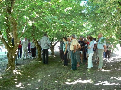 Visite de la coopérative Unicoque et des vergers de noisetiers