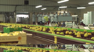 Route de la Pomme du Limousin : Visite coopérative 2026