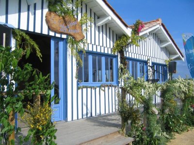 Exposition à la Cabane Bleue : Boodja et Art So Design