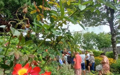 Pause Patrimoine : les jardins acte II : le jardin botanique