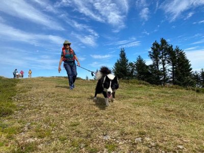 Randonner avec un chien nordique à La Pierre Saint-Martin