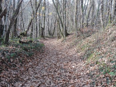 Roc de Maille