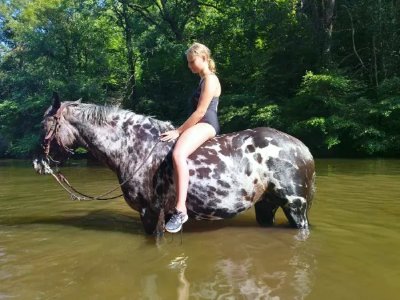Rando équestre baignade avec la Ferme des Grandes Oreilles