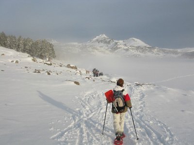 MONTAGNE NATURE PYRENEES
