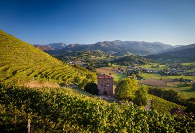 Visite du Vignoble Brana et dégustation