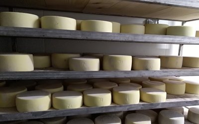 Visite de la ferme Etxepareborda