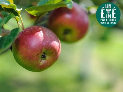À la rencontre des producteurs - La pépinière Des racines pour demain
