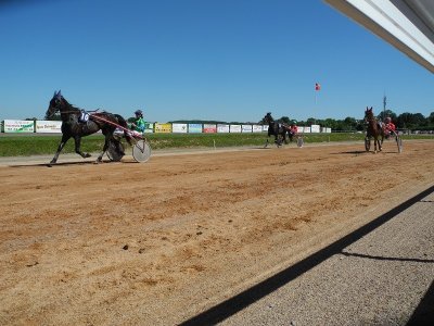 Courses hippiques