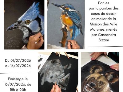 Exposition