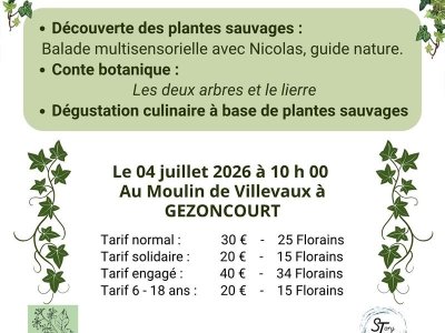 Balade et Conte Botanique en Petite Suisse Lorraine
