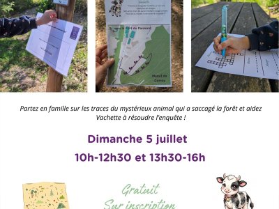 Jeu de piste : la forêt bouge