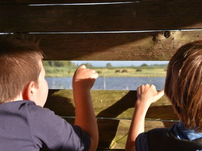 Samedi ornitho à Terres d'Oiseaux