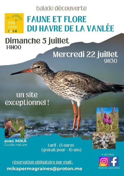 Soirée découverte de la nature du Havre de la Vanlée sous le chant des Alytes