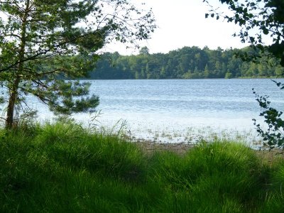 Etang des Lévrys