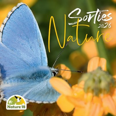 Sortie Nature - Les Petites Bêtes