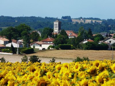 Arrêt sur Village - ROSSIGNOL