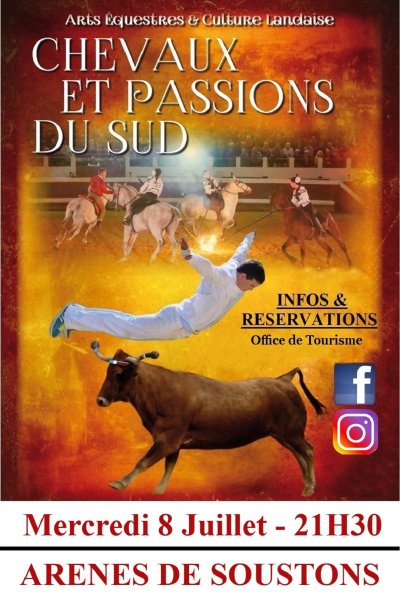 Landes Emotions