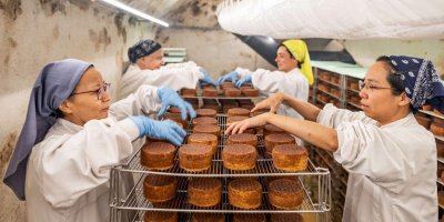 Accueil à la Ferme : Apiculture à Saint-Aulaye et Abbaye de la Tappe à Echourgnac