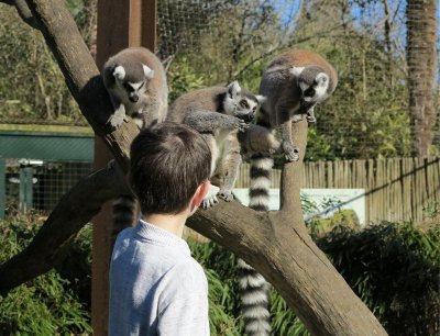 Zoo d'Asson - Programme de l'été