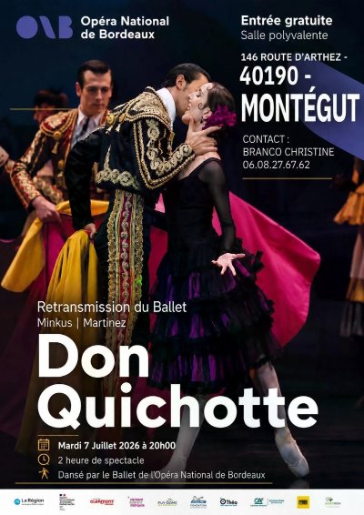 Ballet : Don Quichotte