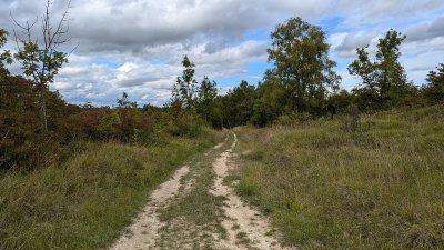 Sortie nature à Cerny-en-Laonnois : "La nuit tous les papillons ne sont pas gris !"