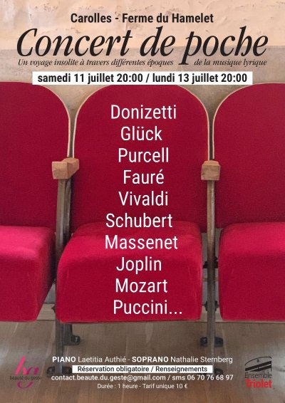 Concert de poche lyrique