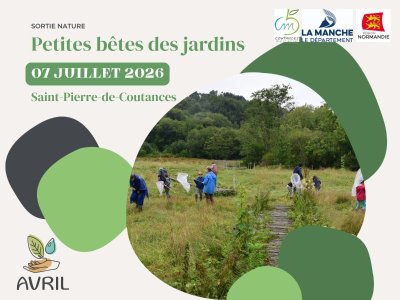 A la recherche des petites bêtes du ruisseau