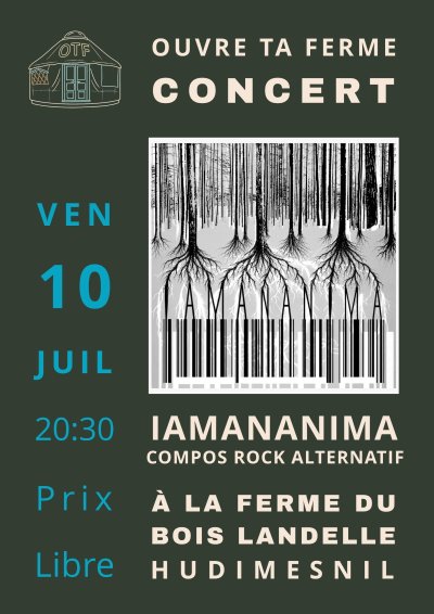 Iamananima en concert