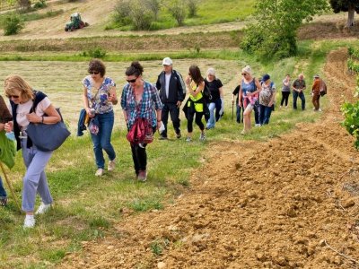 BALADES DE SAINT-HILAIRE