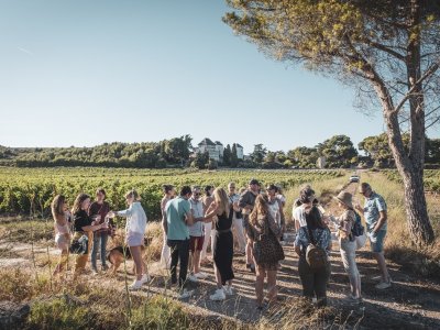 BALADE VIGNERONNE AU CHÂTEAU LA NÉGLY