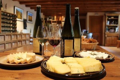 Balades dans les vignes & dégustation
