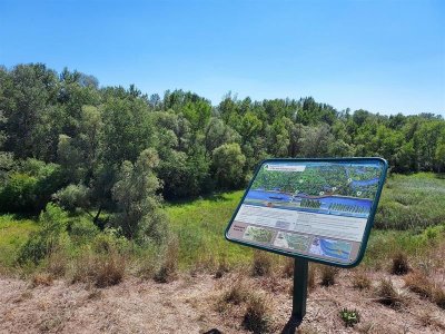 Visite guidée la biodiversité de la Réserve naturelle nationale de l’île de Rhinau