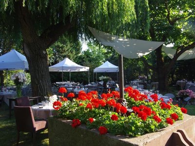 Garden Party du Rosenmeer