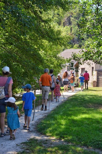 Balade commentée - À la découverte de la vallée du Cousin, le long du chemin bleu - 10 juillet