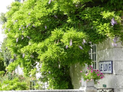 Visite de la ville de Montoire