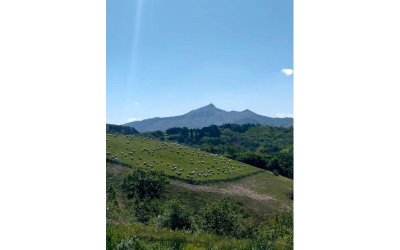 A la découverte de la Corniche basque, Espace Naturel Sensible à Urrugne: Paysages agricoles entre montagne et océan.