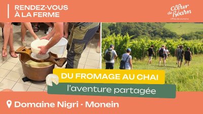 Rendez-vous à la ferme : Du fromage au chai