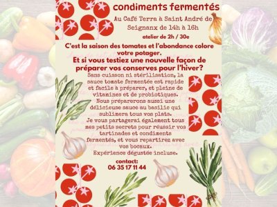 Journée fermentée au Café Terra