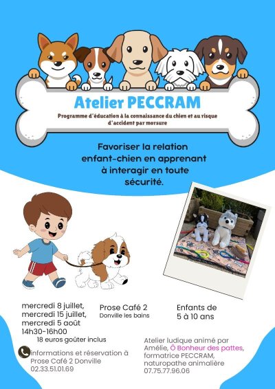 Atelier ludique pour comprendre le comportement canin