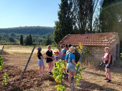 BALADES VIGNERONNES EN GRAND CARCASSONNE - DOMAINE SAINTE-MARIE DES CROZES