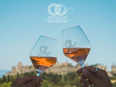 LE GRAND PIQUE-NIQUE DES VIGNERONS DE LA CITÉ