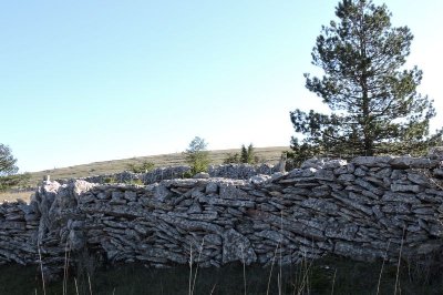 Sauveterre
