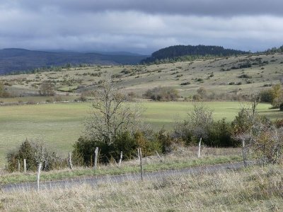 Puech d'Alluech
