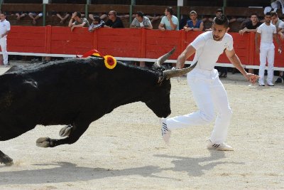 Les spectacles nocturnes aux arènes