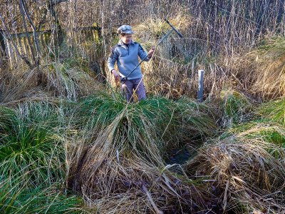 Deux Réserves Naturelles, deux voix en chœur au Marais de Bonnefont