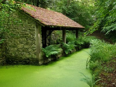 Journée citoyenne pour la sauvegarde du petit patrimoine