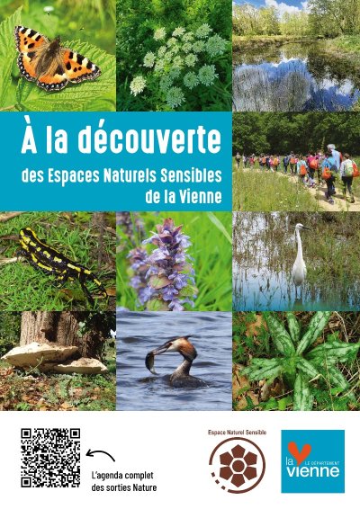 Vieux arbres et biodiversité