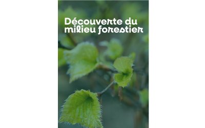 Découverte du milieu forestier