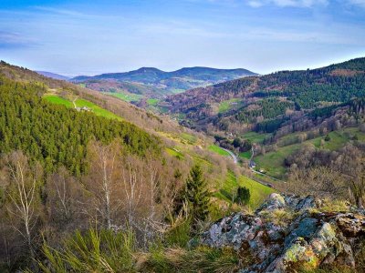Balade pastorale à la Graine Johé