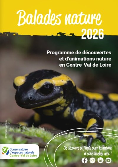 Sortie Nature : Balade découverte sur les chaumes